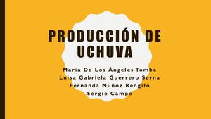 Producción De Uchuva