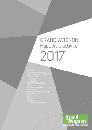 Rapport d'activité 2017