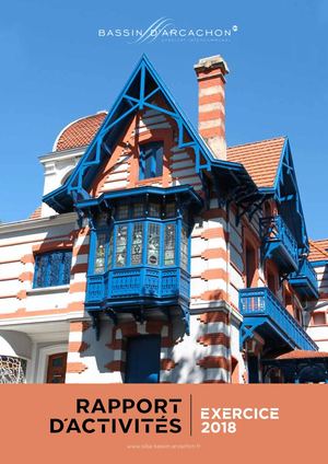 Rapport d'Activités 2018 du SIBA