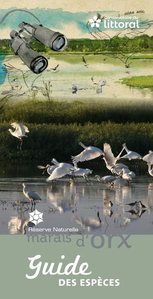 MARAIS D'ORX : Depliant Espece