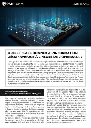 LIVRE BLANC - OPENDATA