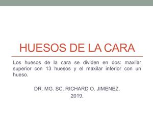 Expo Huesos De La Cara