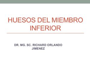 Huesos Del Miembro Inferior