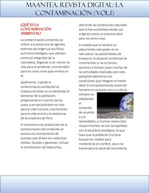 Qué Es La Contaminación Ambiental