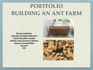 Portfolio Building An Ant Farm (2)