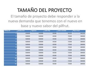Diapositivas Proyectos