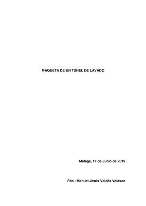 Proyecto Final Túnel De Lavado