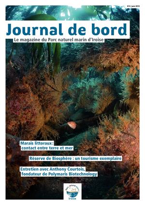 Journal de Bord - n°4