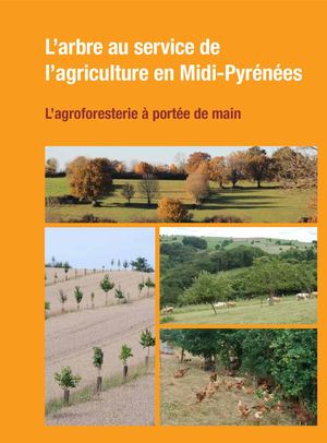 Livret Agroforesterie Arbre Au Service De L Agriculture En Midi Pyrennees Juillet 2015