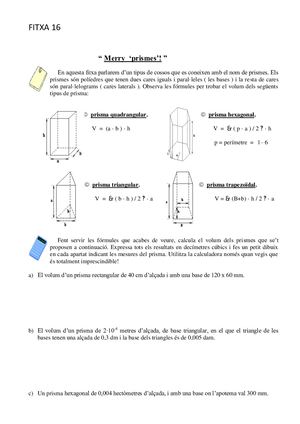 Fitxa 16 Merry Prismes