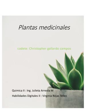 Plantas Medicinales Word
