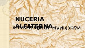 Presentazione Standard1