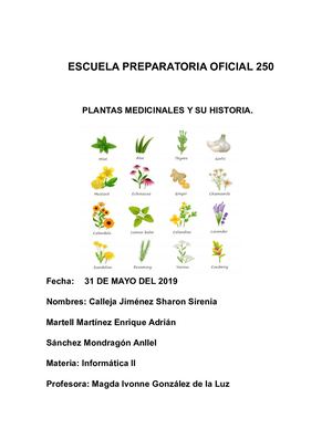 Plantas Medicinales Informatica Ii