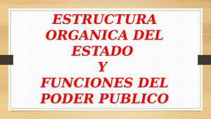 Estructura Organica Del Estado Dianita (1)