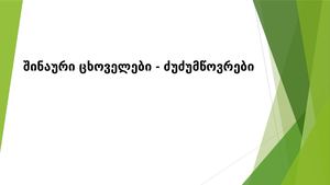 შინაური ცხოველლები ძუძუმწოვრები