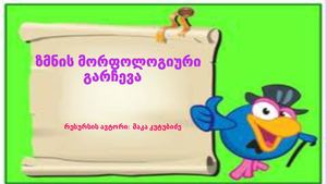 მაკა კუტუბიძე