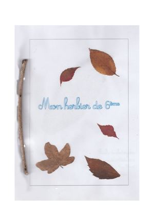 Herbier 6E 2018/2019