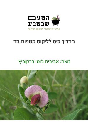 מדריך ליקוט קטניות