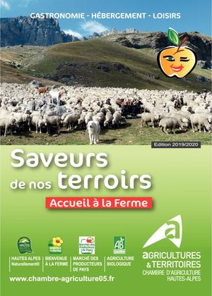 Saveurs 2019-2020