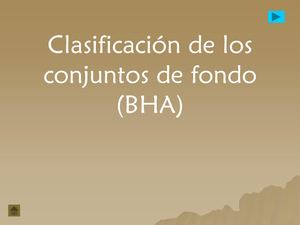 Clasificacxion De Bha Nazar,montial,subelza