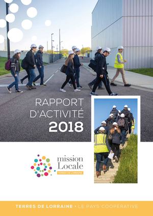 Rapport D'activité Mission Locale Terres De Lorraine 2018 Déf