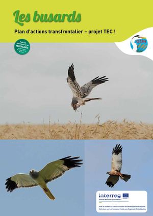 Tec Busards Fr Web