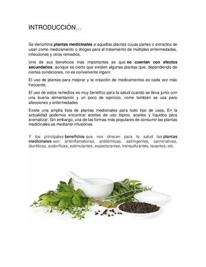 Plantas Medicinales