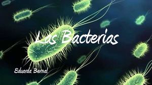 Las Bacterias