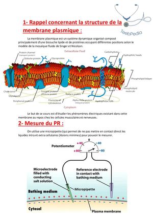 Résumé Sliem Raouf (1)