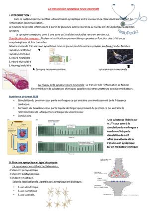 Transmission Synaptique Neuro Neuronale (Résumé Inès Kcm).