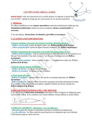 Réflèxes Médullaires (Résumé Admane Lynda).