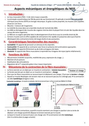 Aspects Mécaniques Et énergétiques Du MSS (Résumé GC).