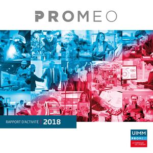 Rapport d'activité 2019 (2018)