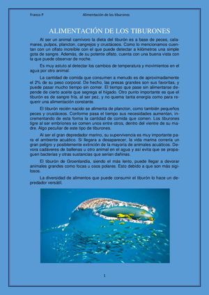 Alimentación De Los Tiburones