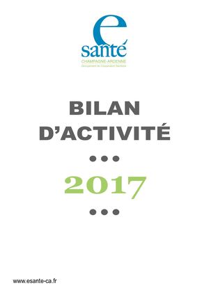 Bilan d'activité 2017