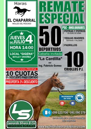 Catalogo Remate Haras El Chaparral
