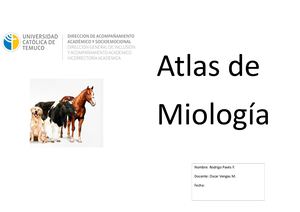 Atlas Miologia 1