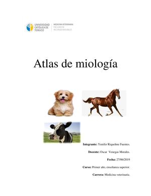 Atlas De Miología Veterinaria