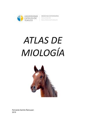 Atlas Miología