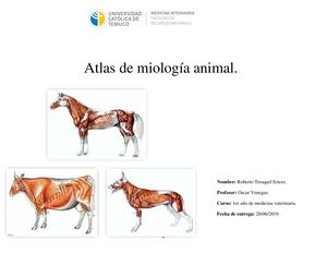 Atlas Miología Animal 2019