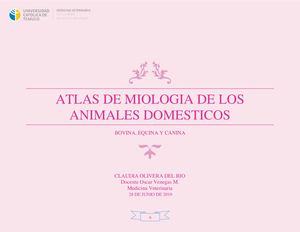 Atlas De Miologia De Los Animales Domesticos