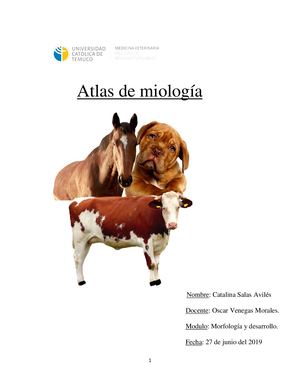 Atlas Miologia Veterinaria