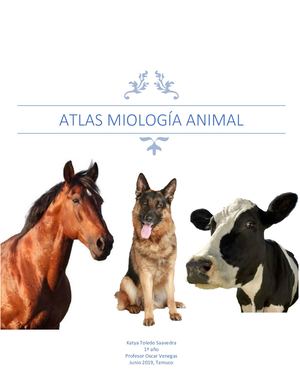Atlas Miología Animal