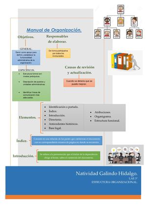 Manual De Organización