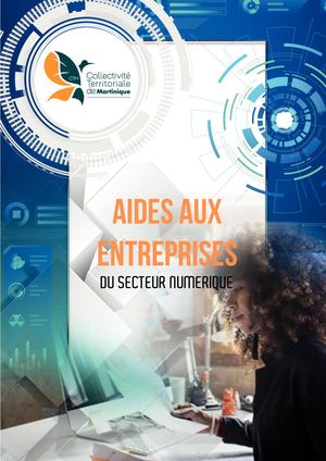 Aides Aux Entreprises Numériques 2019