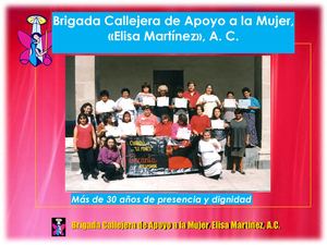 Brigada Y Mujeres Q Le Inspiran