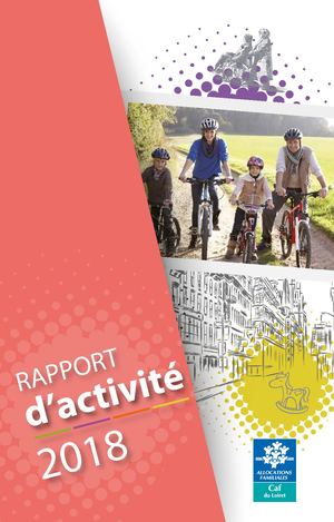 Caf Du Loiret Rapport D'activité 2018