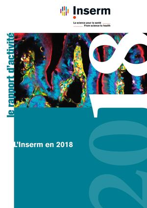 Rapport d'activité 2018
