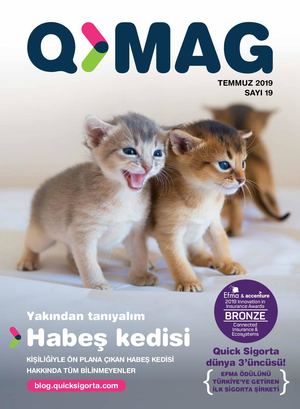 QMAG SAYI 19