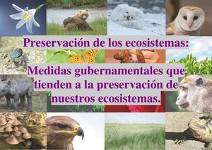 Preservación De Los Ecosistemas